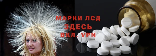прущие грибы Гусиноозёрск