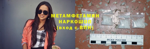 прущие грибы Гусиноозёрск