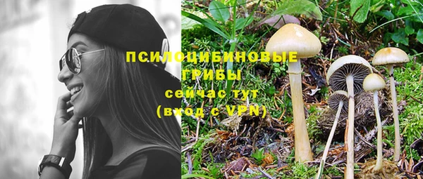 альфа пвп Гусь-Хрустальный