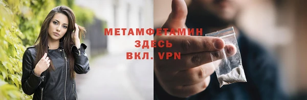 прущие грибы Гусиноозёрск