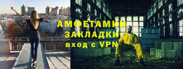 прущие грибы Гусиноозёрск