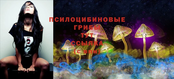 МДМА Нягань