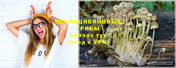 марки nbome Гусев