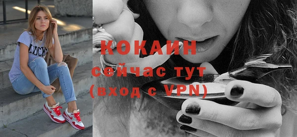 меф Гатчина