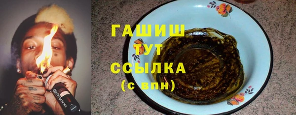 прущие грибы Гусиноозёрск