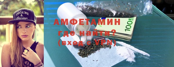прущие грибы Гусиноозёрск